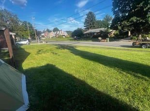 Elizabeth B.'s Lawn Care service result