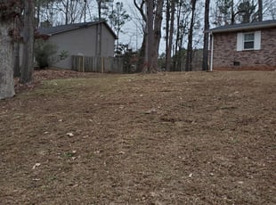 Cleanups by Alberto Sandoval for Patty C. in Mableton, GA