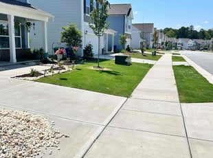 Aashini P.'s Grass Cutting service result
