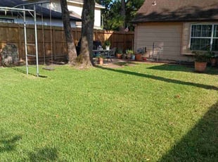 Patrick L.'s Lawn Service service result