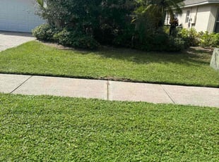 Ian s.'s Lawn Mowing service result