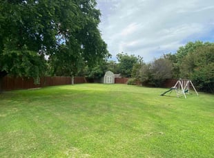 Jasmine R.'s Grass Cutting service result