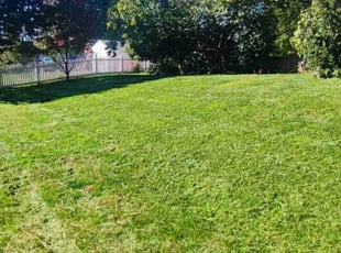 Shannon C.'s Lawn Mowing service result