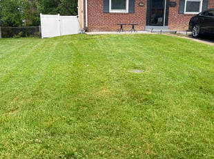 Arrasheed M.'s Lawn Service service result