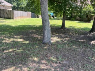 Leaf Removal by Shaun Gaston for Heather M. in Milton, FL