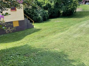 DAVID H.'s Yard Cutting service result