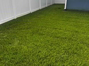 Darrell W.'s Lawn Mowing service result