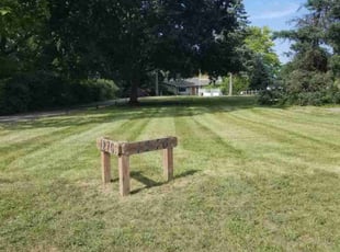 Deana G.'s Lawn Service service result