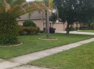 Alba P.'s Lawn Maintenance service result