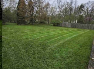 Walterina B.'s Lawn Mowing Service service result