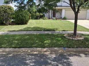 Laura D.'s Lawn Mowing Service service result