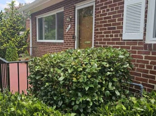 Bush Trimming by Artavius Clark for Ramona S. in Silver Spring, MD