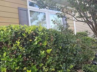 Bush Trimming by moronnie jones for Shawna N. in Charlotte, NC
