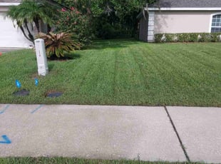 Sabrina W.'s Lawn Mowing service result