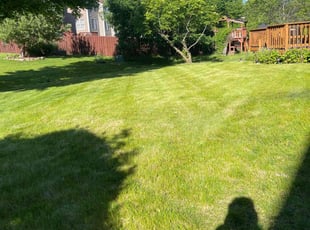 Yvonne M.'s Grass Cutting service result