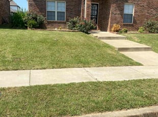 Russell R.'s Lawn Mowing service result