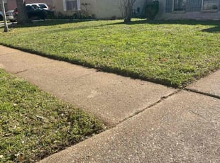 Vashawn M.'s Grass Cutting service result