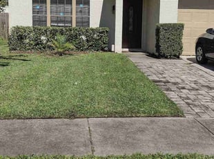 Bush Trimming by Robby Freedman for Jennifer C. in Oviedo, FL