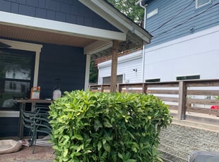 Bush Trimming by Brian Sims for Niki C. in Charlotte, NC