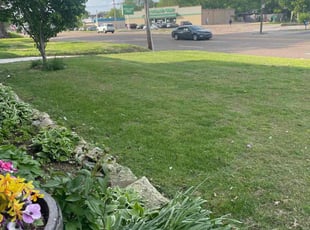 Gregory N.'s Lawn Mowing service result