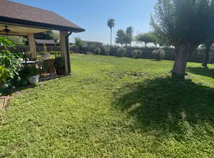 Nathaniel B.'s Yard Cutting service result