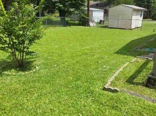 Tafadzwa D.'s Lawn Mowing service result