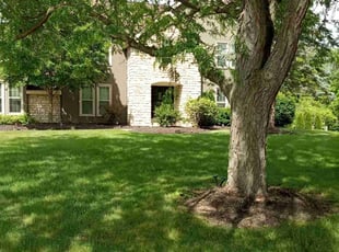 John C.'s Lawn Mowing Service service result