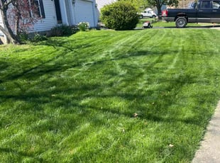Andrew N.'s Lawn Service service result