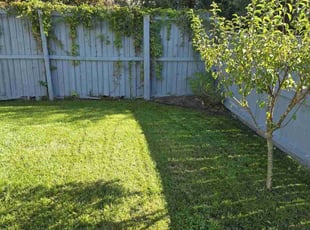Brandon W.'s Lawn Service service result