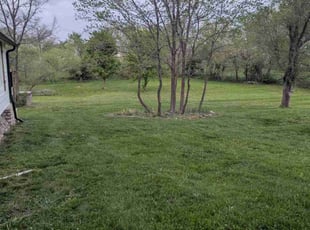 Rebecca F.'s Lawn Care service result