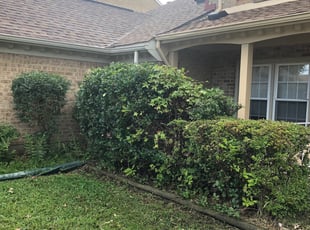 Bush Trimming by Kevin Whitbeck for Patrick T. in Virginia Beach, VA