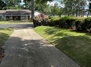 Ashley B.'s Lawn Mowing Service service result