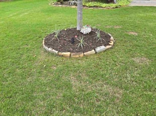Cleanups by Eli Fortune for Vince S. in Cumming, GA