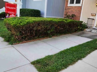 Bush Trimming by Derrick Graves for Pierrette F. in Fort Washington, MD
