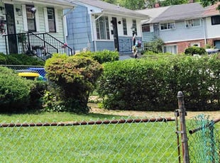 Mulching by Dennys Cerna-mendez for Latonia R. in Hyattsville, MD