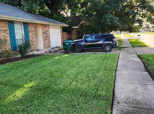 Emanuel M.'s Lawn Care service result