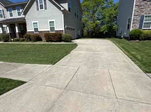 Donna A.'s Lawn Mowing Service service result