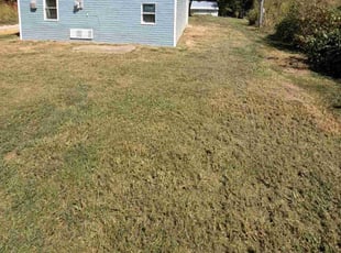Linda C.'s Lawn Maintenance service result