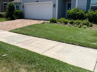 Frederica G.'s Grass Cutting service result