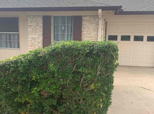 Bush Trimming by Salvador and Vega for Sarah M. in Austin, TX
