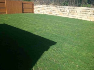 Jill F.'s Lawn Mowing service result