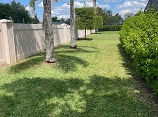 Syrina M.'s Lawn Service service result