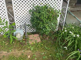Bush Trimming by Jhon Reyes for Christopher C. in Darby, PA