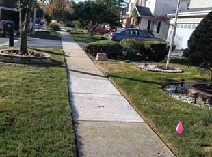 Michelle L.'s Lawn Care service result