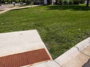 Piseth D.'s Lawn Maintenance service result