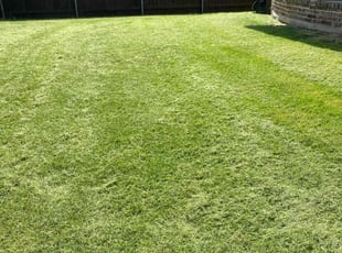 Janice P.'s Lawn Mowing service result