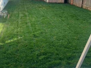 Lynn J.'s Lawn Mowing service result