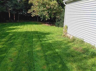 Rades g.'s Lawn Service service result