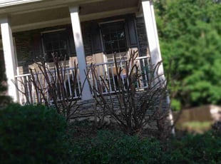 Bush Trimming by Enrique Juarez for Ellie H. in Canton, GA