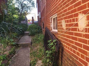 Bush Trimming by Derrick Graves for Crys L. in Washington, DC